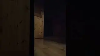 слидим за котом часть 1