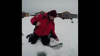 На что поймать Форель-Чайку???