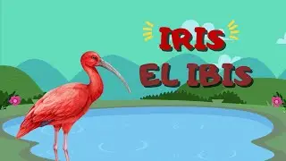 IRIS EL IBIS 🐦🪶🪺🦩🪹