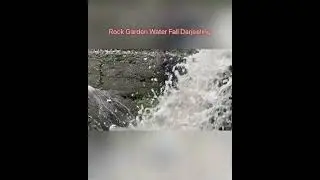 Rock Garden, Darjeeling | Waterfall #shorts #viral #darjeeling