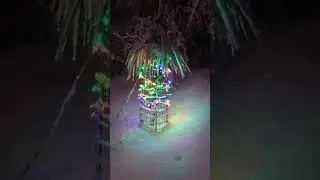 UNEXPECTED SNOW IN PARADISE (BRITISH COLUMBIA)