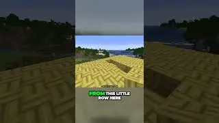 Building a Massive 10x5 Platform for Epic Minecraft Farming #shorts
