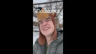Вайн / Лошадка / Grey Ship