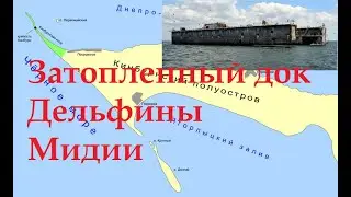 Кинбурнская коса или Кинбурн. Ягорлыцкий залив. Дельфины. Поход на яхте. 2020 г.