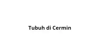 CERITA PENDEK - TUBUH DI CERMIN