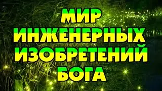 МИР ИНЖЕНЕРНЫХ ИЗОБРЕТЕНИЙ БОГА