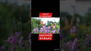 Как работает благословение или проклятие в твоей жизни. Суд Божий.