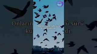 Fil Suresi Meali