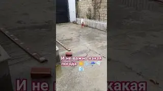 9 апреля 2024 г.