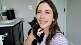 We Got ANOTHER New Kitten!
