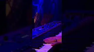 Feeling unplugged? here's Always with me always with you in acoustic guitar! #joesatriani #guitar