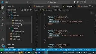 How to Add Dynamic Cards Using JavaScript from JSON