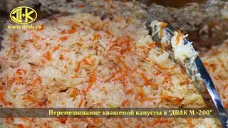 Перемешивание квашеной капусты в мешалке ДВАК М 200
