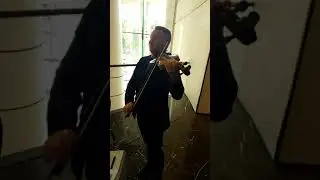 Живая музыка , скрипка и фортепиано.