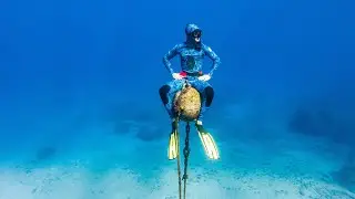 Dive Tribe Adventures, Maui Hawaii | MicBergsma