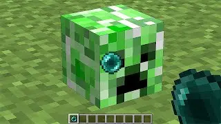 what's inside Creeper's head?