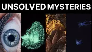 Unsolved mysteries