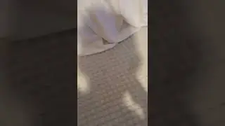 превратил в нагец
