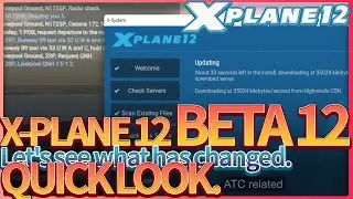 X-Plane 12, Beta 12 released. Take a quick look.