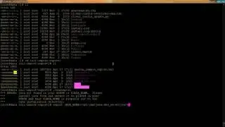ISII: Performance Troubleshooting and Import Export utility