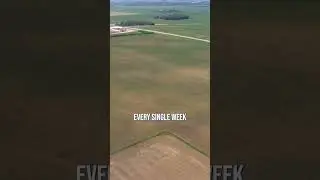 Check out satellite imagery to help scout your fields.