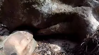 КУЧУРЫ