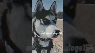 подпишись и увидишь побольше эдитов а может быть и мою жизнь!