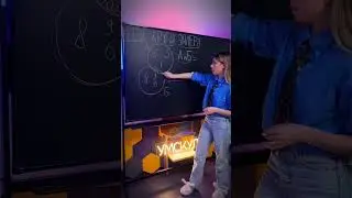 Круги Эйлера А и Б в информатике 