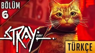 CEHENNEMDEN KAÇIŞ STRAY -TÜRKÇE BÖLÜM 6