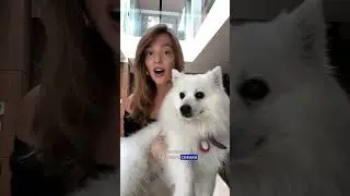 Умная мысль дня ❤️ Пишите в комментариях, что нравится вам