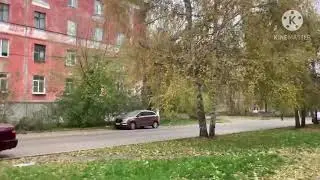 Купила очередной фарестон,и просто хорошие выходные