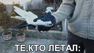 Курсаки // 29.12.2015