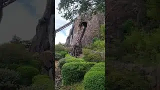 Expedition Everest! 🏔 🎢 #themepark #rollercoaster #disneyworld #shorts #disney #everest #yeti #drop