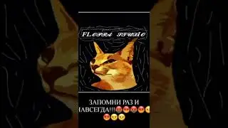 впишите текст...