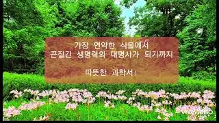읽니밍 090) 잡초를 밟으면 다시 일어선다?! (o/x) | 무편집모바일녹음🤣🤣🤣| 책읽어주는여자| 오디오북| 음성소설| 책읽는라디오