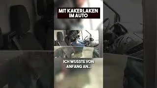 KAKERLAKEN im AUTO PRANK