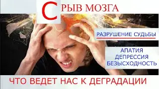 КАК ТЕХНОЛОГИИ ВЕДУТ К ДЕГРАДАЦИИ. РАЗРУШЕНИЕ СУДЬБЫ, АПАТИЯ, ДЕПРЕССИЯ, БЕЗЫСХОДНОСТЬ.