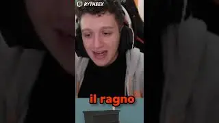 Quando trovo UN RAGNO in CASA
