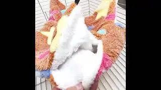 гамак для грызунов