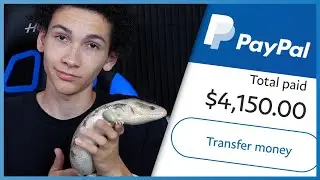 The Most Expensive Pet Lizards I've Ever Sold