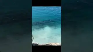 Лазурное море и ДЕЛЬФИНЫ гуляют Март 2024