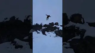 snow diving