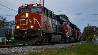 CN 3838 leads CN M337 with MVPX 1191 trailing through Elmhurst, IL on 11/3/2024!