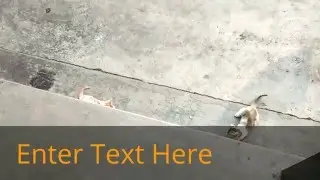 My Edited Video