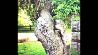 labbayk subhanallah