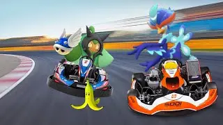 ogerpon and quaquaval literally race