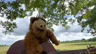 Snail by The Smashing Pumpkins cover by Stacy McMillan & Sloth shortened for Twitter