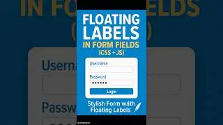 Floating Labels in Form Fields (CSS + JS) ✨ Clean UI Magic! 