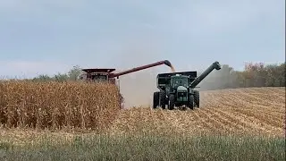 Harvest Keeps Trucking