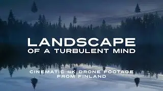 Landscape of a Turbulent Mind